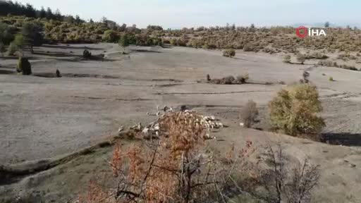 Bursa'da dağlarda 150 koyununa çobanlık yapıyor