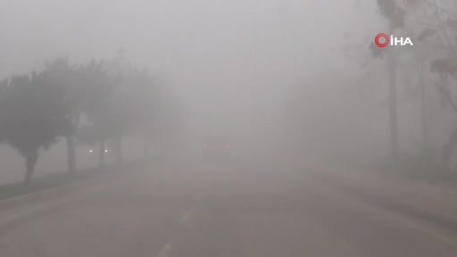 Bursa'da yoğun sis! Göz gözü görmedi
