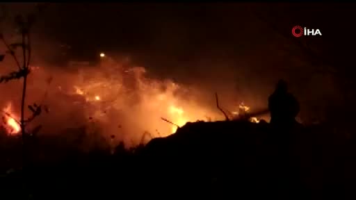 Bursa'da sazlık alanda yangın
