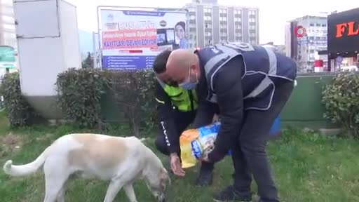 Bursa'da polisler 'sokak hayvanlarını' elleriyle besledi