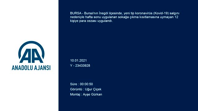 Bursa'da kısıtlamaya uymayan 12 kişiye ceza