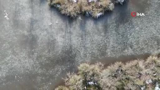 Bursa Karacabey longoz ormanları buz tuttu