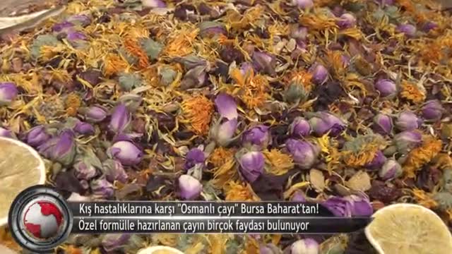 Özel formülle yapılan Osmanlı çayı birçok hastalıktan koruyor! (ÖZEL HABER)