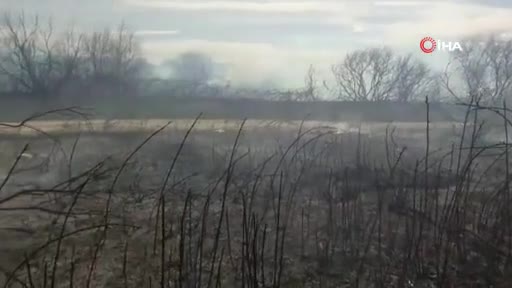 Bursa İznik Gölü'nde korkutan yangın! 60 dönüm arazi kül oldu