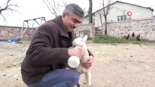 Bursa'da imamla kuzunun sevimli dostluğu