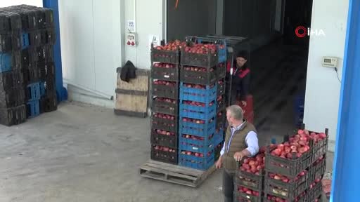 Bursa'da pazarlar kapanınca tonlarca meyve soğuk hava depolarında kaldı