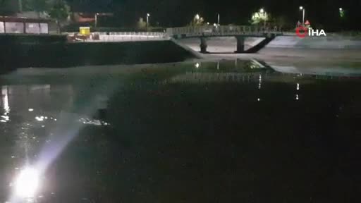Bursa'da gölete düşen kediyi boğulmaktan kurtardı