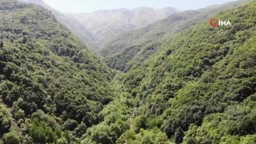 Bursa'da doğa yürüyüşçüsü her gün dostu sincabı elleriyle beslemek için dağa çıkıyor