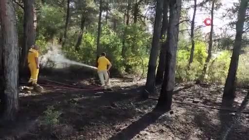 Bursa'da mangal keyfi ormanı yaktı