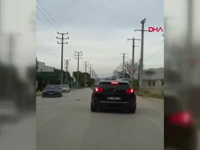 Bursa'da başıboş at, trafiği altüst etti