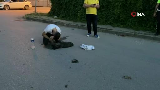 Bursa'da aracın çarpması sonucu yaralanan köpeğinin başında gözyaşı döktü