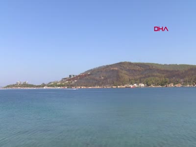 İşte Bodrum'daki yangının acı bilançosu