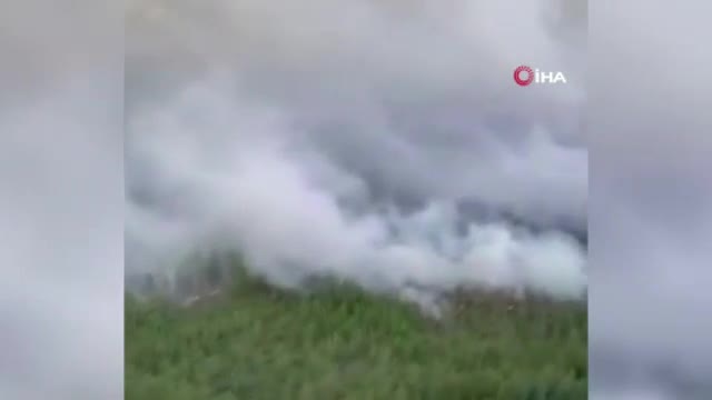 Rusya'da orman yangını yerleşim yerine sıçradı