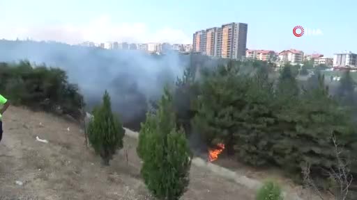 Bursa'da otoyol girişindeki ağaçlık alanda yangın