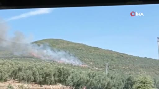 Bursa'da hastane yakınında orman yangını