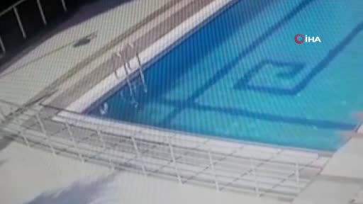Bursa'da martı, havuzdan böyle kurtarıldı
