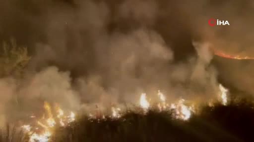 Bursa İznik Gölü kıyısında yangın