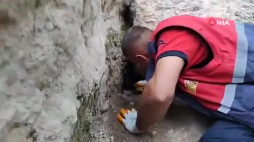 Tilkinin peşinden girdikleri obrukta sıkışan köpekleri itfaiye...