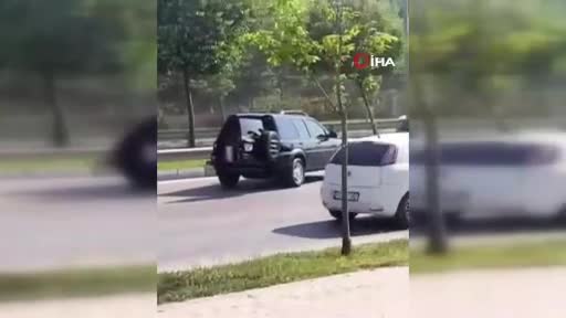 Bursa'da kadın sürücü, çarptığı köpeği ağlayarak veterinere yetiştirdi