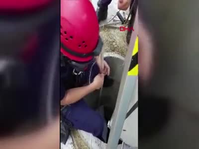 Yavru kedi 10 gün sonra kurtarıldı