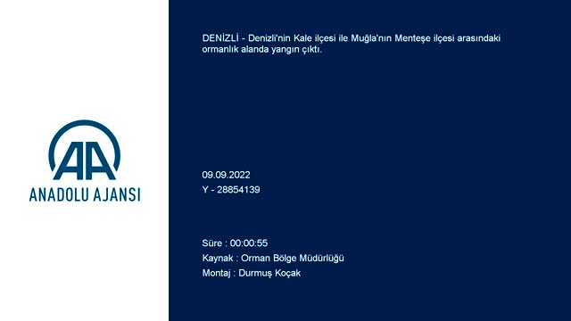 Denizli, Muğla sınırında orman yangını