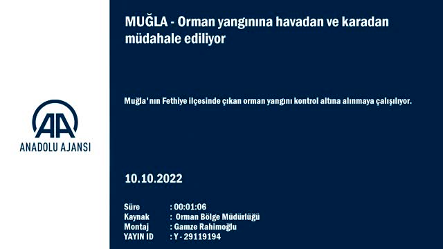 Muğla'da çıkan orman yangınında 1 hektar alan zarar gördü