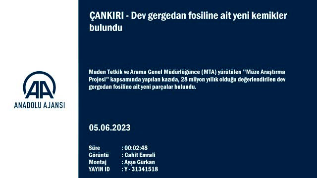 Çankırı'da 28 milyon yıllık dev gergedan fosiline ait kemikler bulundu