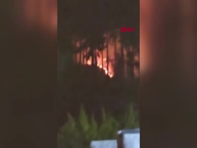 Bursa'da Uludağ eteklerinde çıkan orman yangını söndürüldü