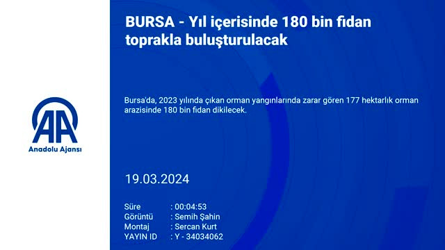 Bursa'da yangında zarar gören orman arazisine 180 bin fidan dikilecek