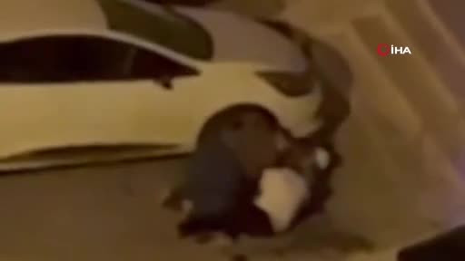 Adana'da evden kaçan pitbull dehşet saçtı: Sahibini ve 2 kişiyi yaraladı