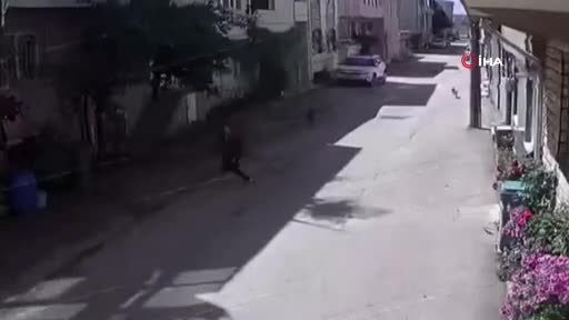 Bursa'da sokak köpekleri 3 çocuğa saldırdı!