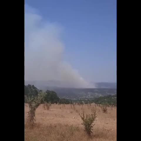 Bursa'da orman yangını!