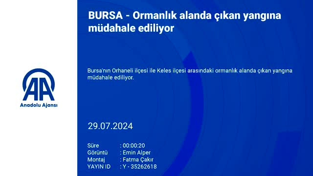 Bursa'da ormanlık alanda yangın çıktı!