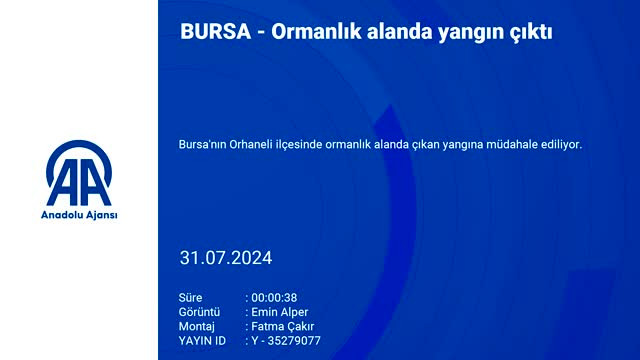 Bursa'da ormanlık alanda yangın çıktı