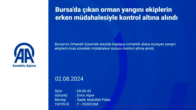 Bursa'da çıkan orman yangını kontrol altına alındı