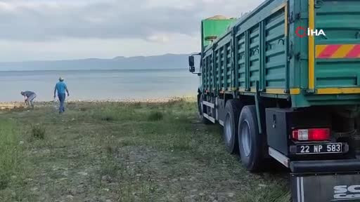Bursa'da göl ve göletlere milyonlarca yavru sazan bırakıldı