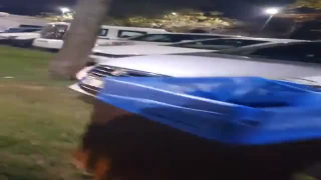 Bursa Kültürpark'ta araçlarını yeşil alana park ettiler! Yasaklara aldırış etmediler