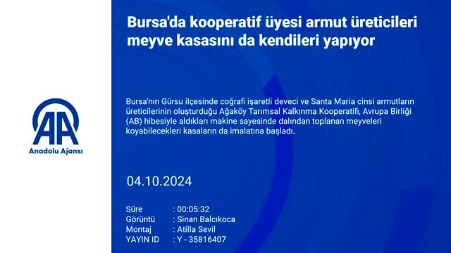 Kooperatif başkanı Şener: Bursa'da üreticiler fahiş fiyatla karşılaşmayacak