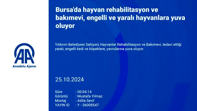 Bursa'da hayvan rehabilitasyon ve bakımevi engelli ve yaralı hayvanlara yuva oluyor