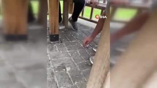 Bursa'da zabıta ekipleri çöpünü yere atan gençlere çöpleri temizletti