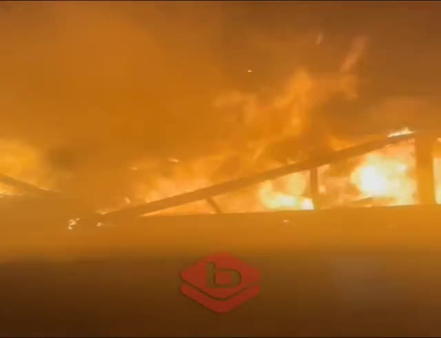 Bursa'da mangal yangını güçlükle söndürüldü!
