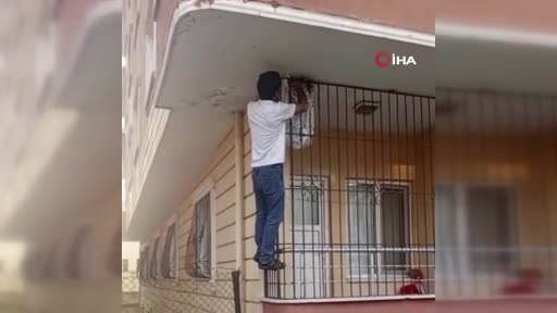 Arılara fısıldayan adam! Onu sokmuyorlar...