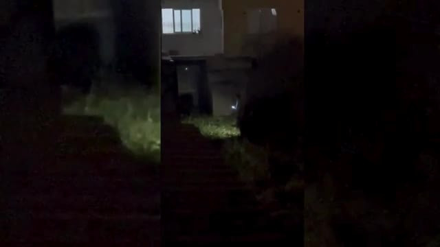 Bursa'da kurbanlık ipini kopardı!