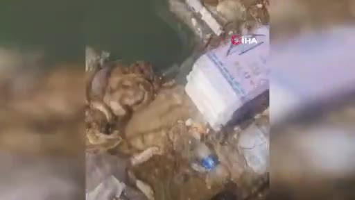 Vatandaşlar bu görüntüye isyan etti! Sulama kanalları doldu taştı