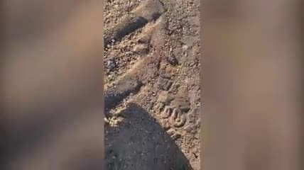 Artık coştular: Kene resmen bir vatandaşı kovaladı!