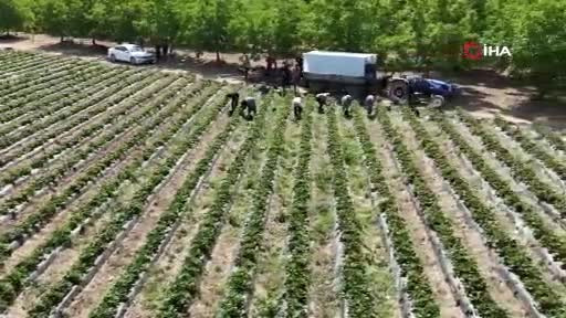 Elmas değerinde! Bursa'dan 4 ülkeye ihracat