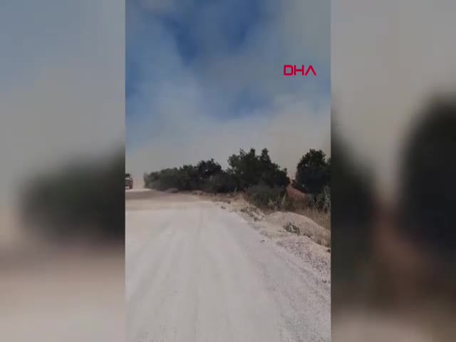 Bursa'da orman yangını! Havadan ve karadan müdahale...