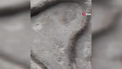 Ender görülüyor! Vatandaşlar tedirgin...
