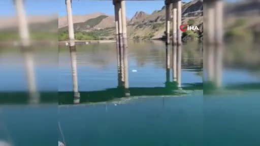 Yaşlı adamı tekne turu yapanlar kurtardı!