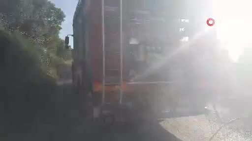Bursa'da karga ortalığı karıştırdı!